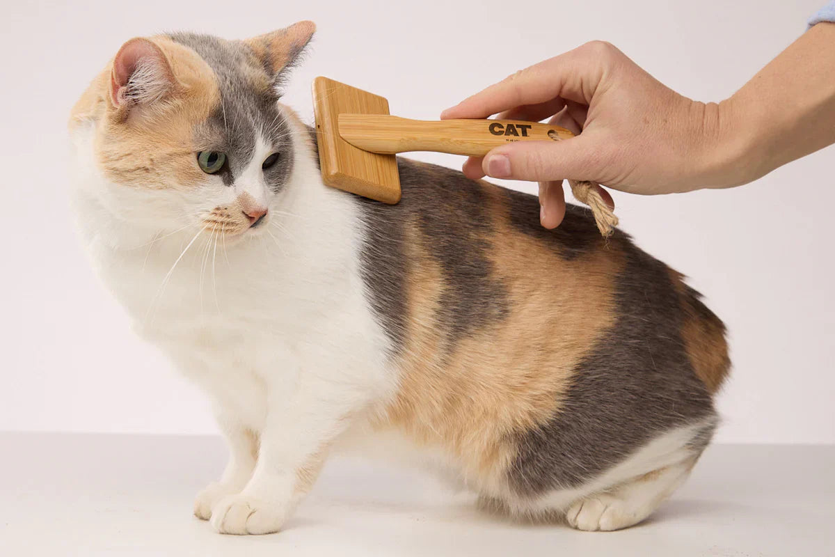 Grooming